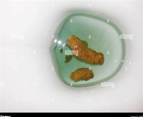 que significa soñar con mucho excremento en un baño|Descubre la interpretación de soñar con mucho excremento en el。